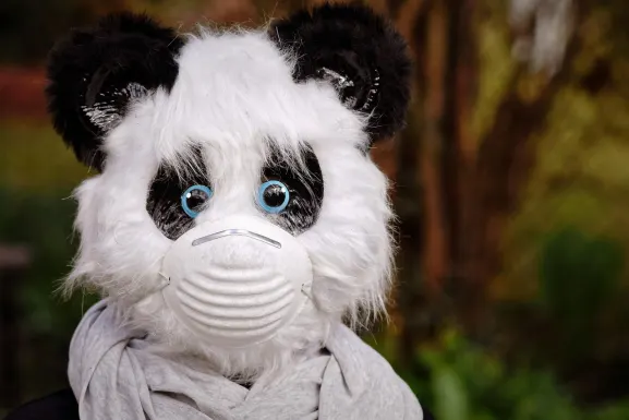 Casino Hot Line Soporte